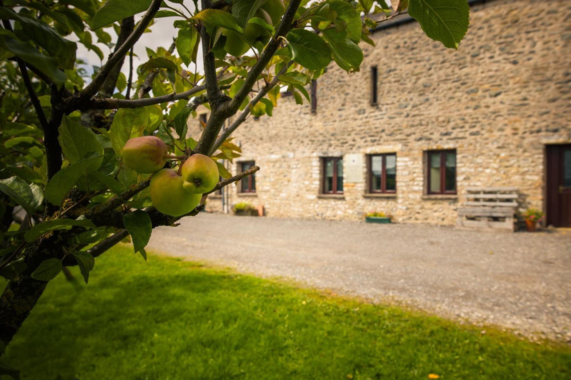 Howgills Barn Villa Sedbergh Exteriör bild